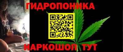 прущие грибы Нальчик