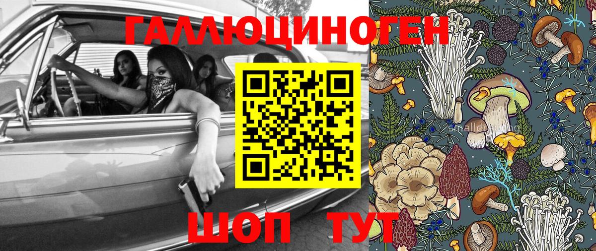 Бузулук  Псилоцибиновые грибы Psilocybine cubensis  Вход с VPN 