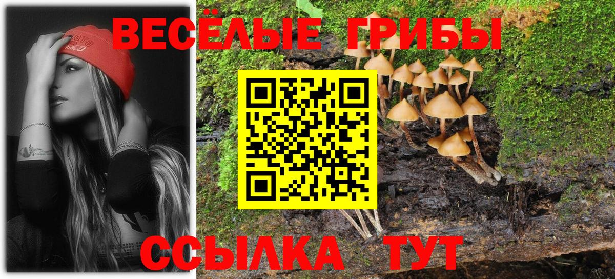 Псилоцибиновые грибы Psilocybe Бузулук